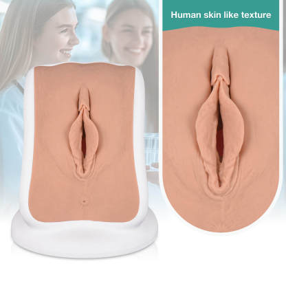 MedEduQuest Advanced Gynecological Examination Training Model