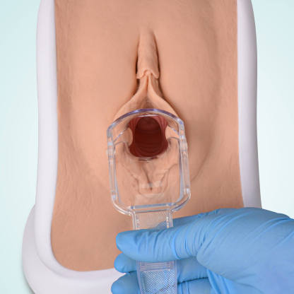 MedEduQuest Advanced Gynecological Examination Training Model