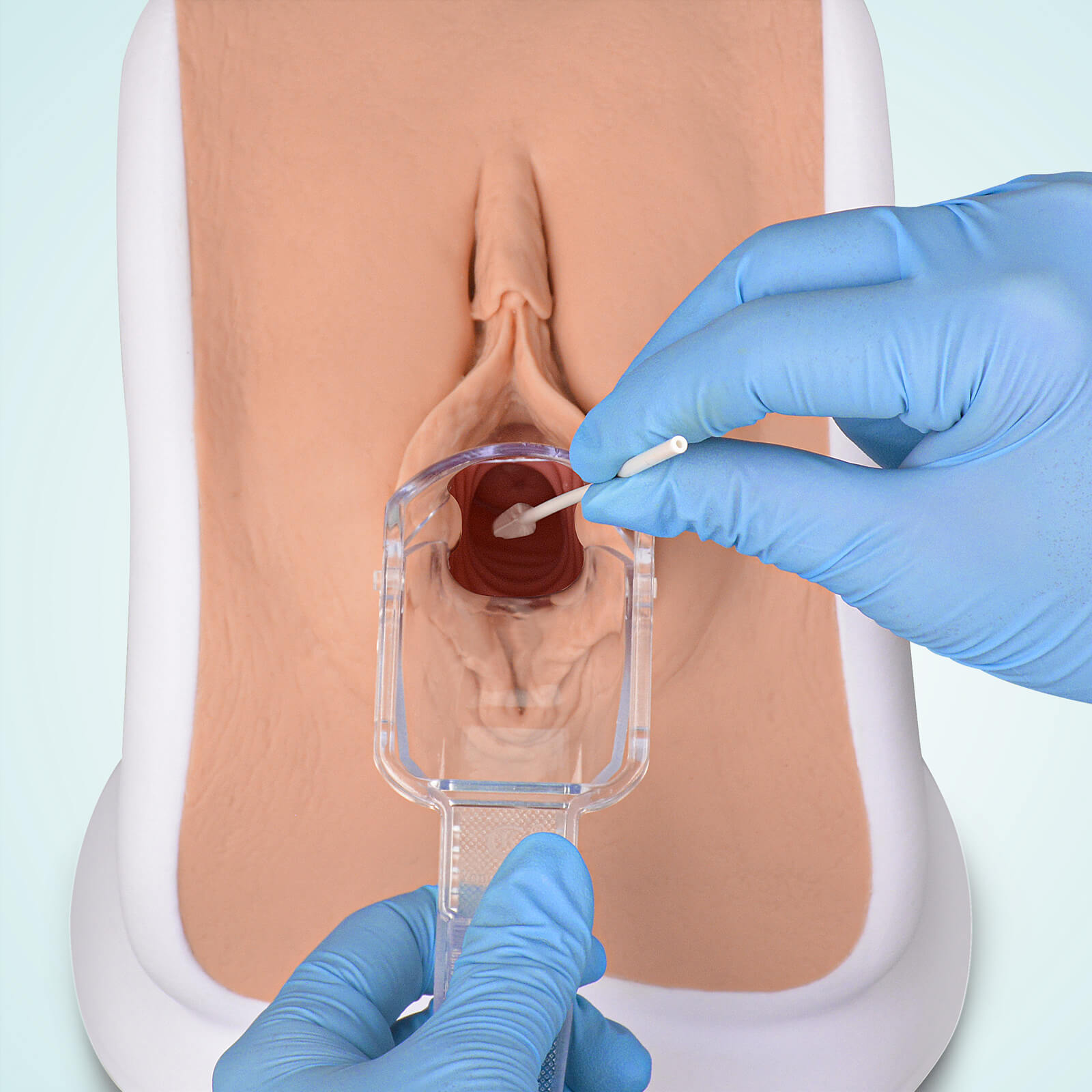 MedEduQuest Advanced Gynecological Examination Training Model