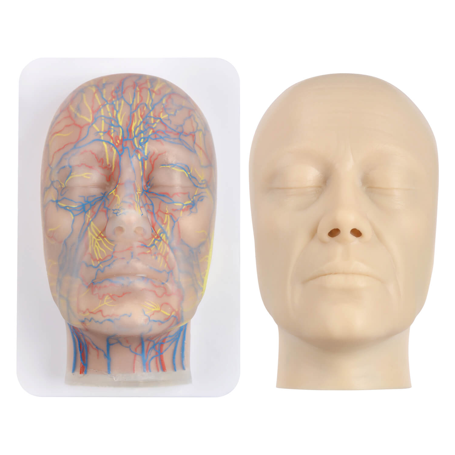 Layered Aesthetic Injection Training Head