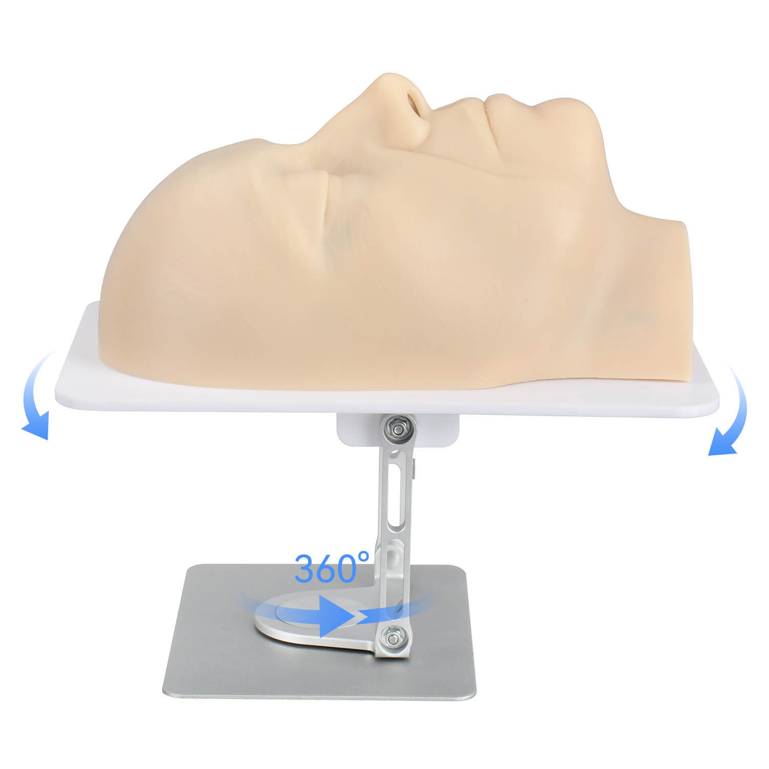 Layered Aesthetic Injection Training Head