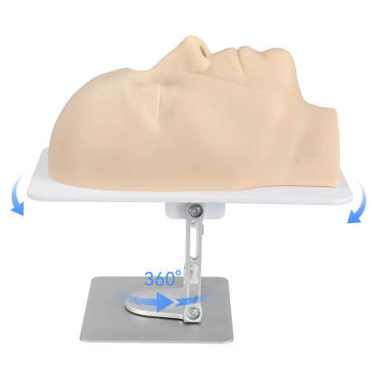Layered Aesthetic Injection Training Head