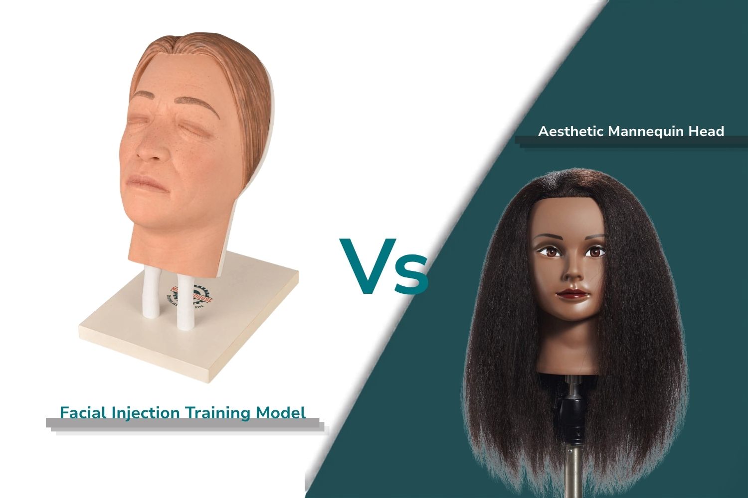 Tête de mannequin esthétique vs modèle de formation à l'injection faciale