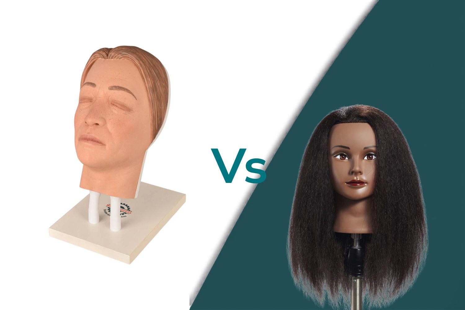 Aesthetic Mannequin Head vs Facial Injection Training Model