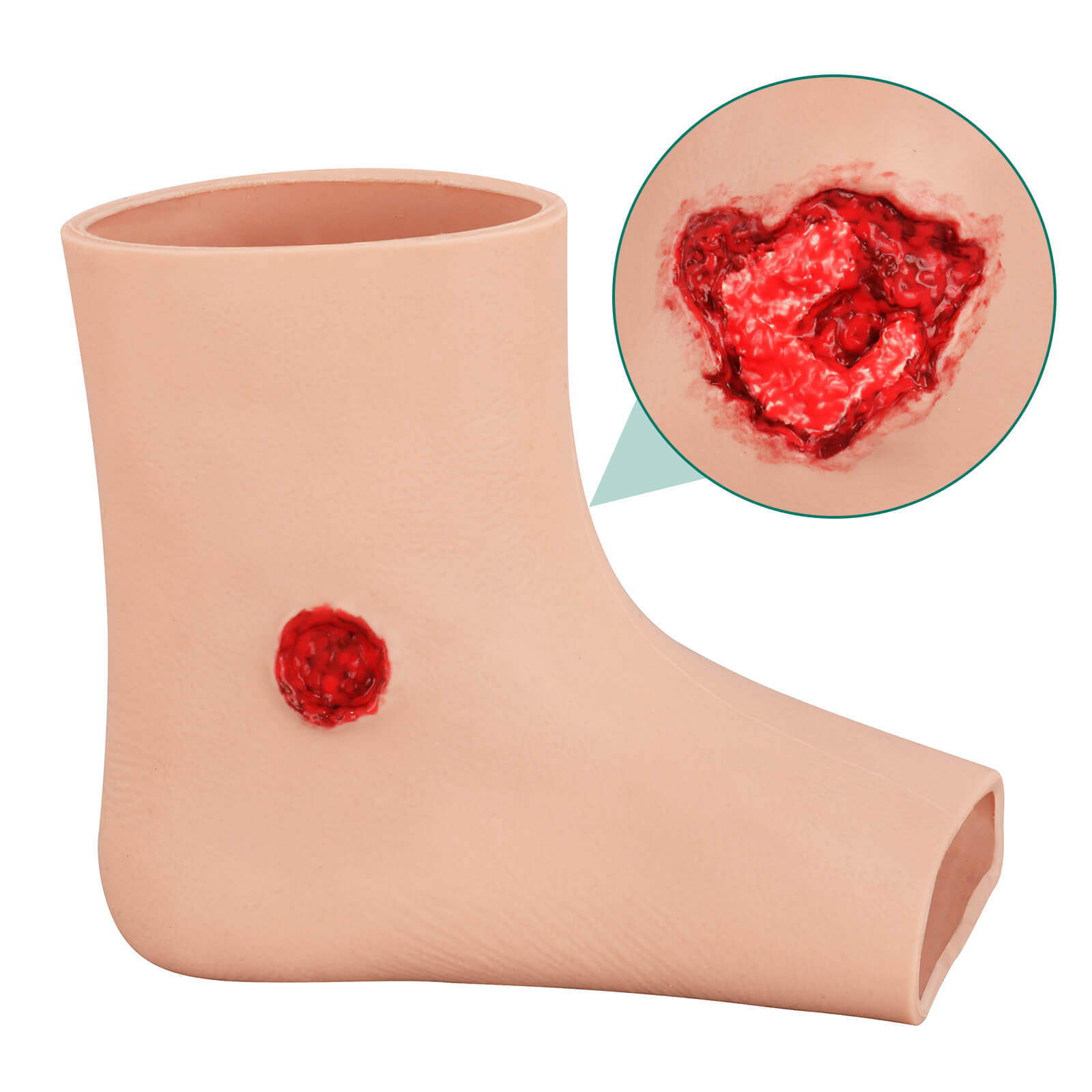 Ankle Gunshot Wound Packing Trainer 