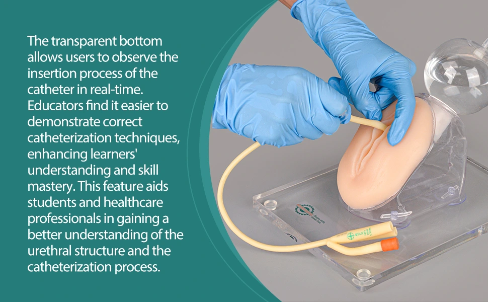 MedEduQuest Female Urinary Catheterization