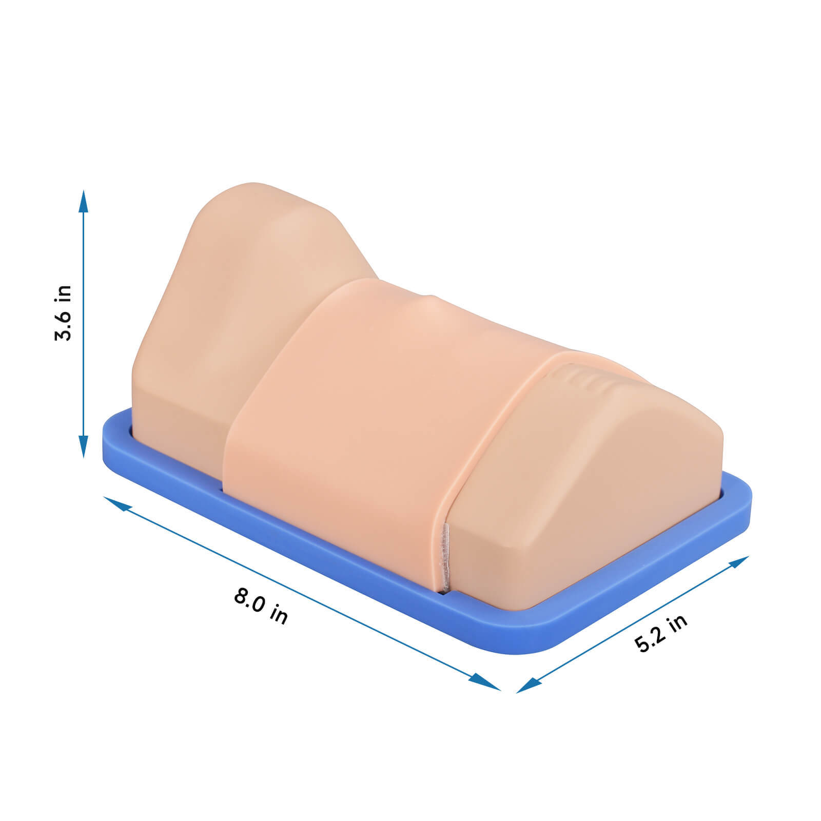 Adult Cricothyrotomy Simulator with Replaceable Membranes