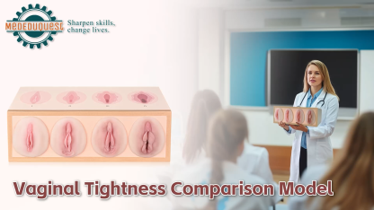 Vaginal Tightness Comparison Model for Gynecology Training