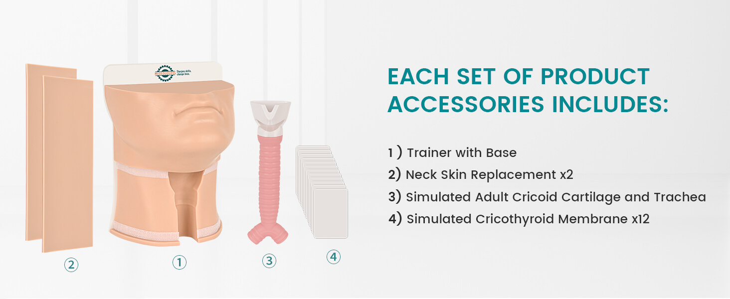 Deluxe Cricothyrotomy Task Trainer - 3 Skin Tones Available