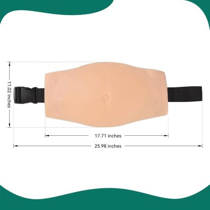 Abdominal Subcutaneous Injection Training Model Size