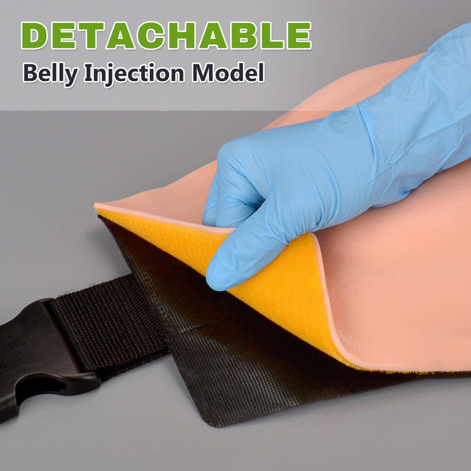 Detachable Injection Training Belly Model
