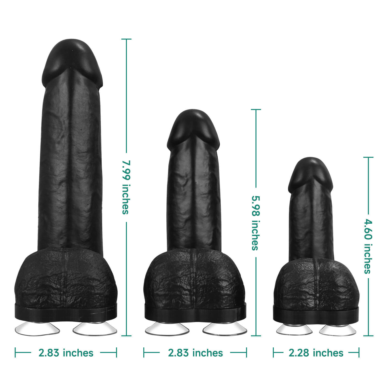 Black Condom Training Model with Suction Base, 3 Sizes