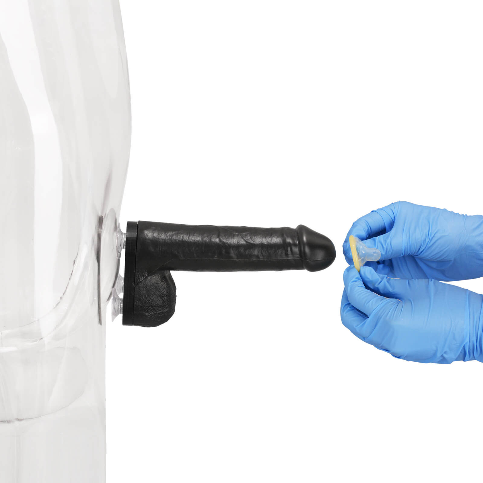 Black Condom Training Model with Suction Base, 3 Sizes
