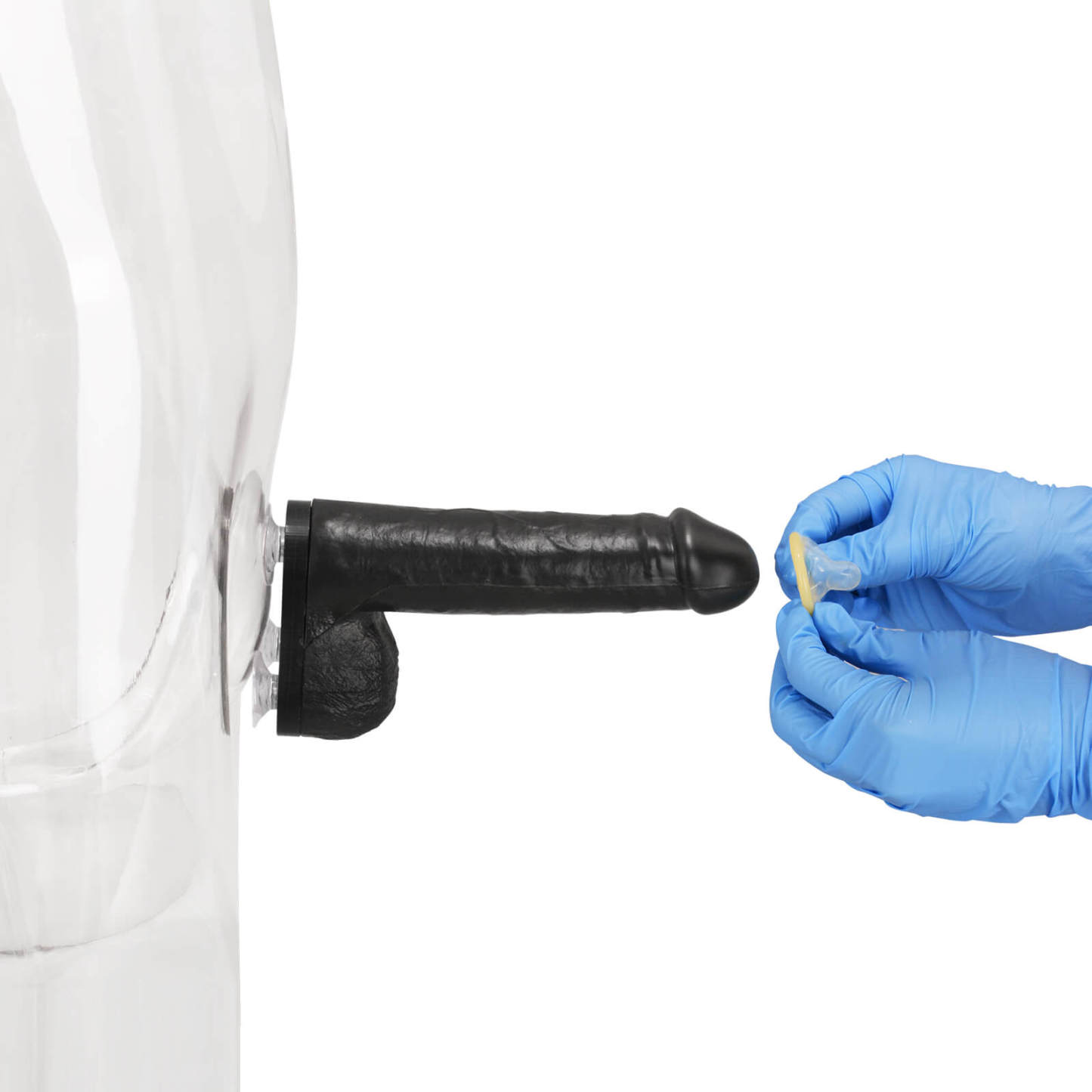 Black Condom Training Model with Suction Base, 3 Sizes