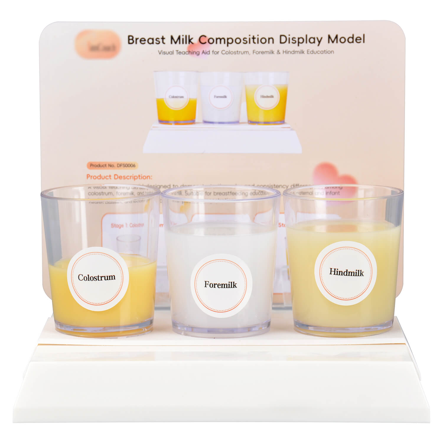 Breast Milk Composition Display Model