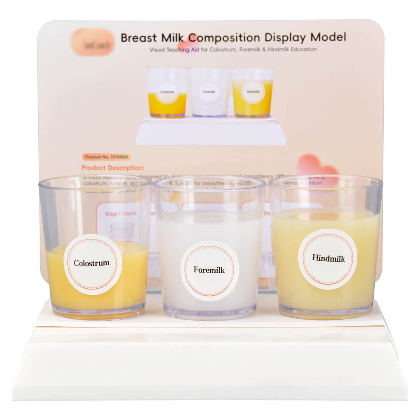 Breast Milk Composition Display Model