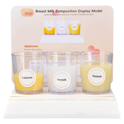 Breast Milk Composition Display Model