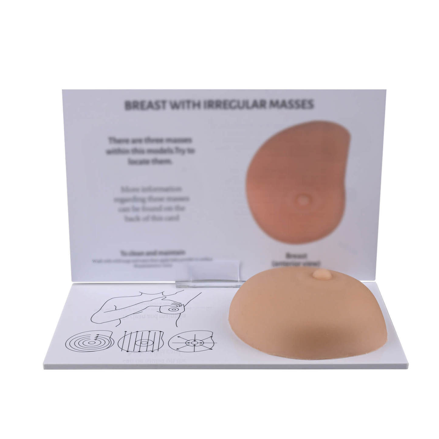 Breast Self-Examination Training Model with Palpable Lumps