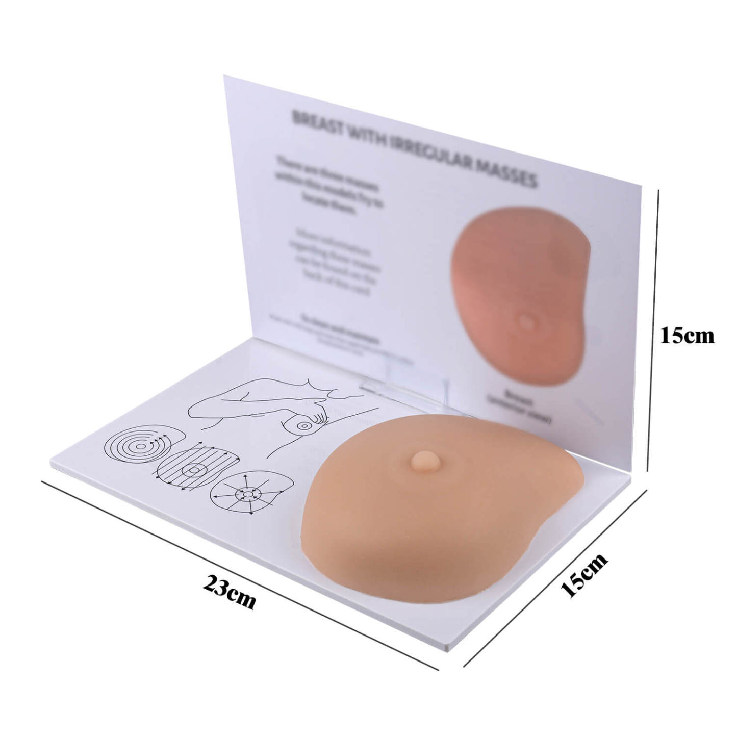 Breast Self-Examination Training Model with Palpable Lumps
