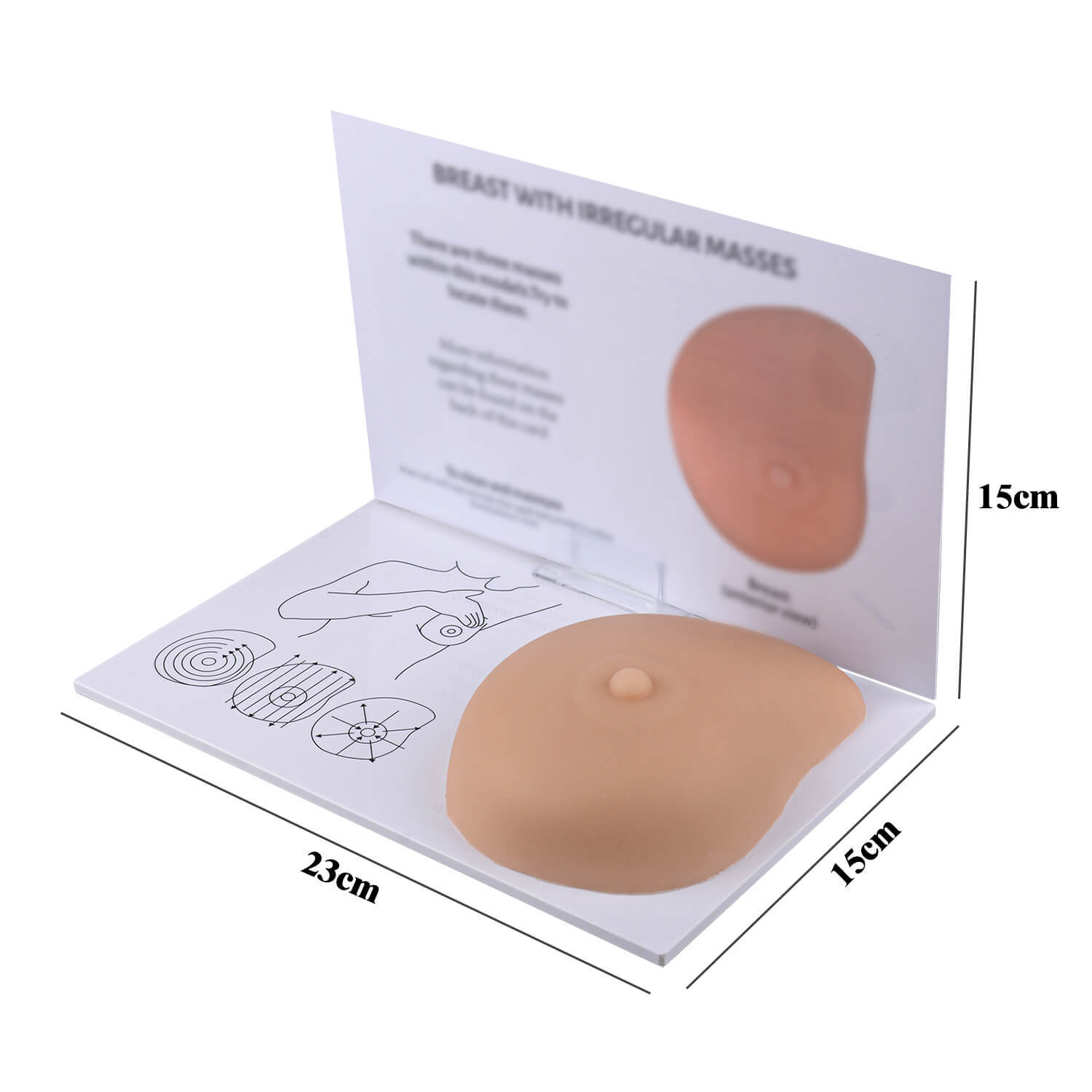 Breast Self-Examination Training Model with Palpable Lumps