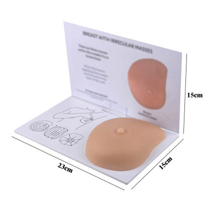 Breast Self-Examination Training Model with Palpable Lumps