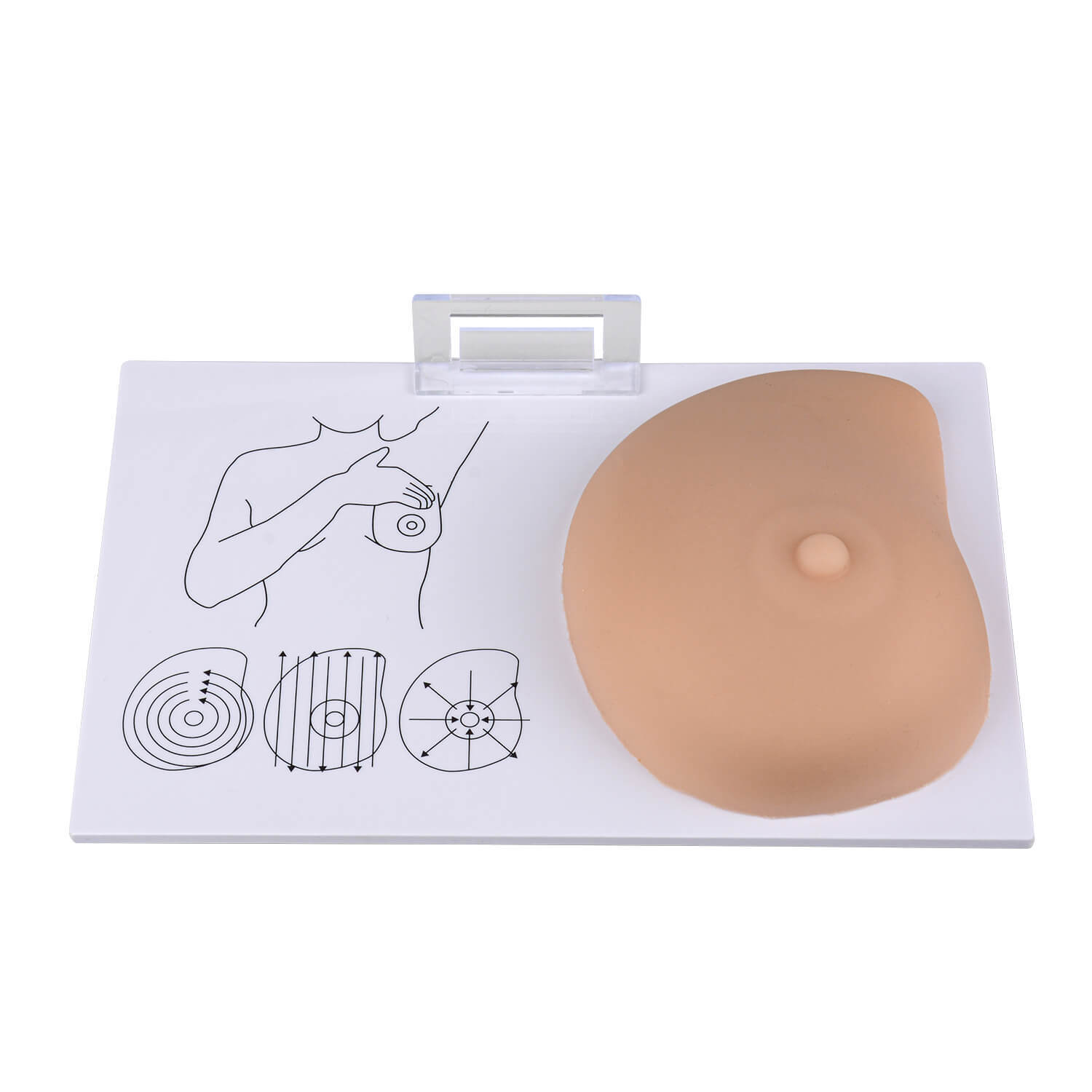 Breast Self-Examination Training Model with Palpable Lumps