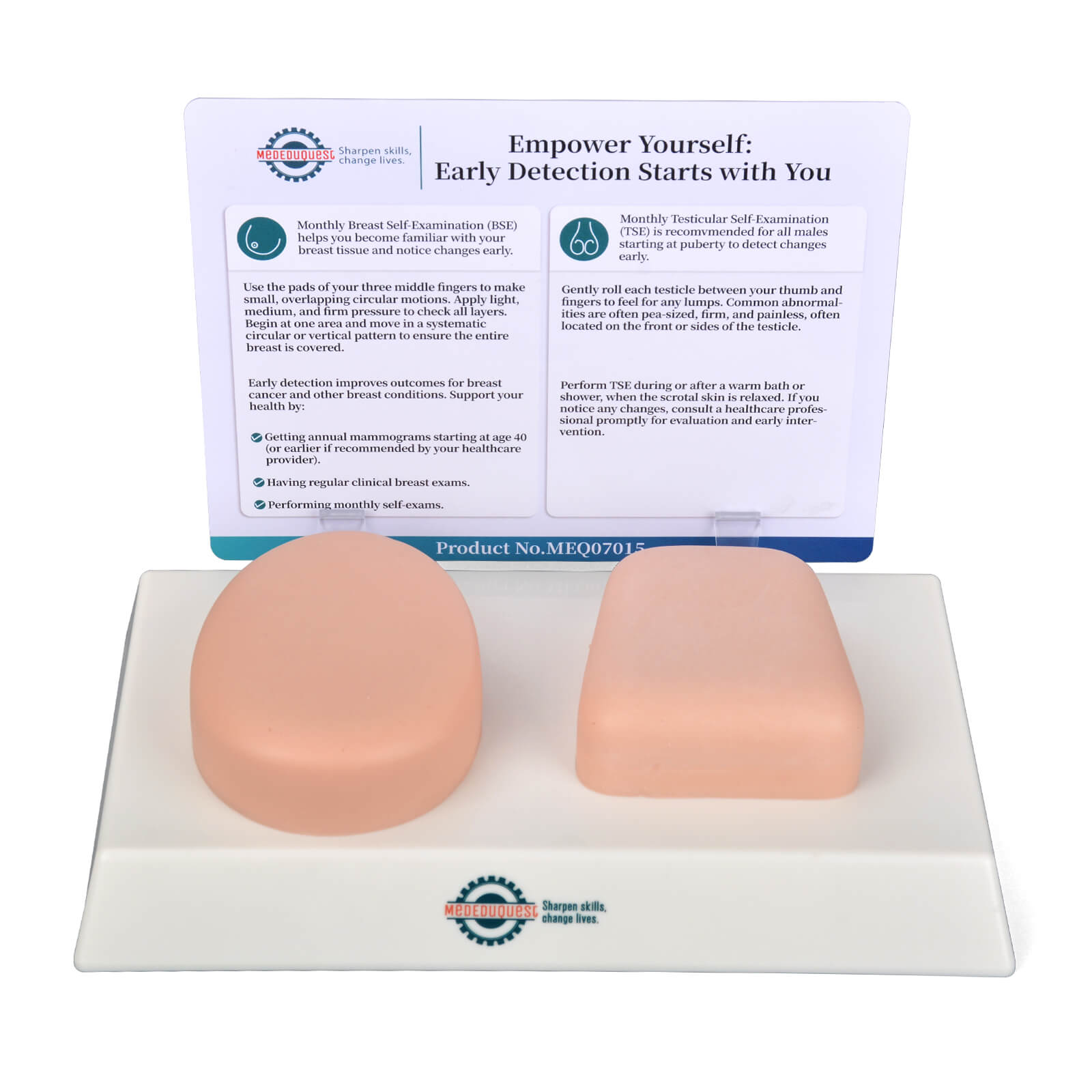 Nonsexual BSE/TSE Self-Examination Training Model