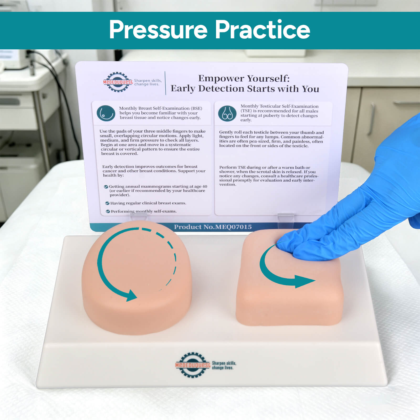 Nonsexual BSE/TSE Self-Examination Training Model