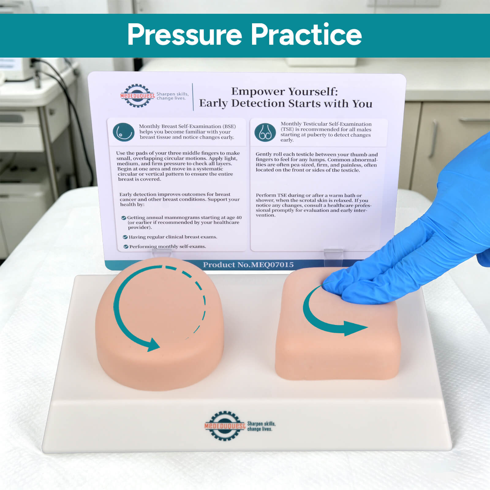 Nonsexual BSE/TSE Self-Examination Training Model