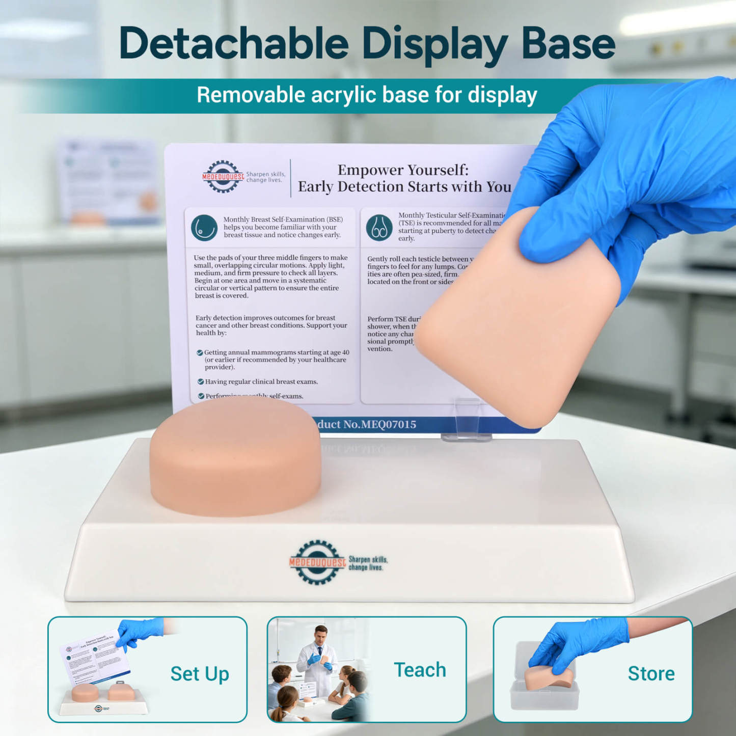 Nonsexual BSE/TSE Self-Examination Training Model
