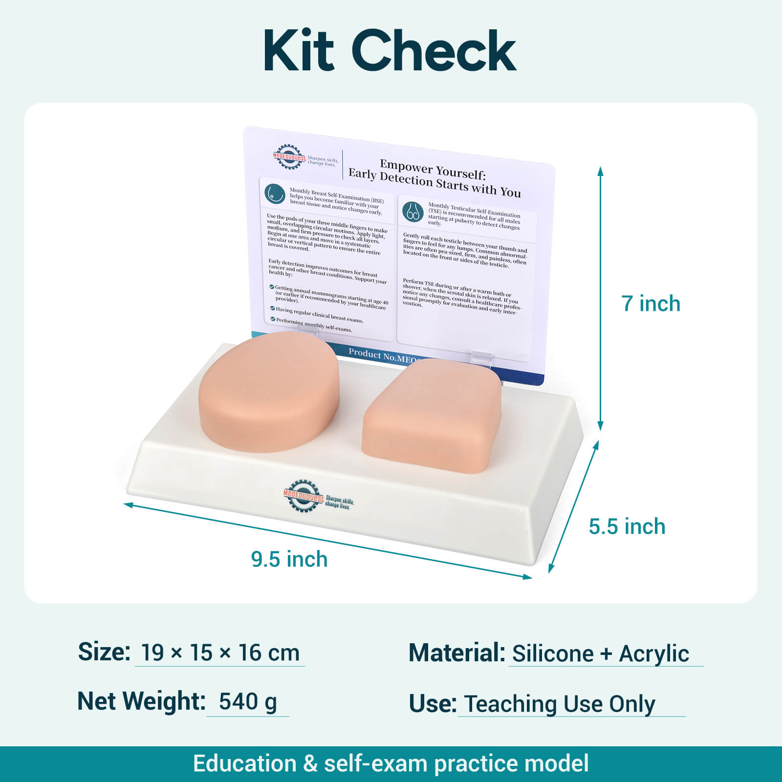 Nonsexual BSE/TSE Self-Examination Training Model