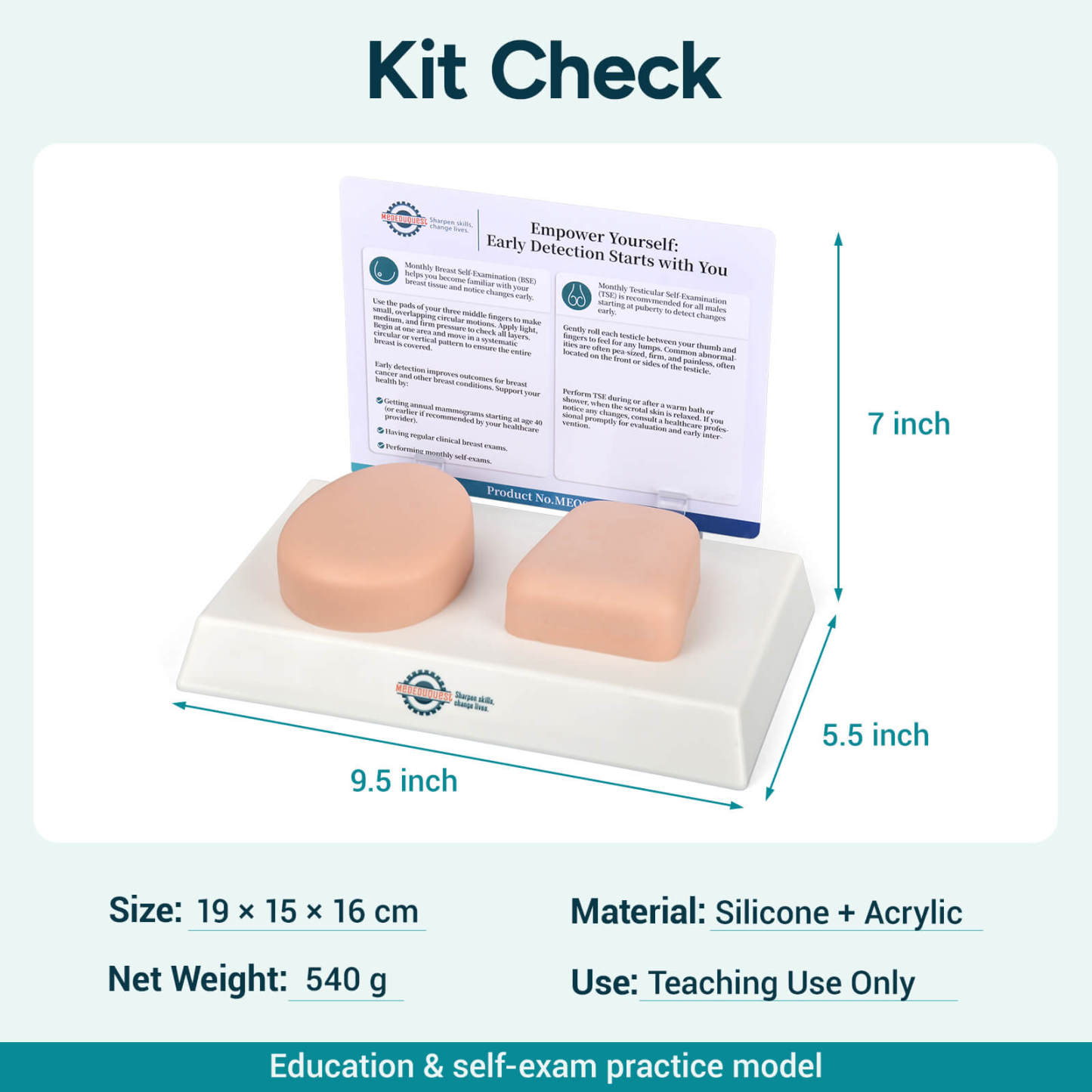 Nonsexual BSE/TSE Self-Examination Training Model