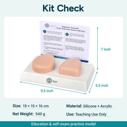 Nonsexual BSE/TSE Self-Examination Training Model