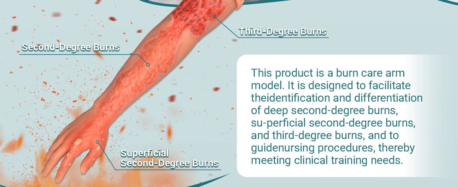 Burn Care Arm Training Model