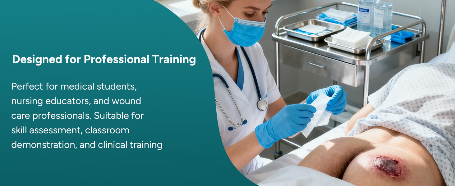 Buttock Pressure Ulcer Model with Multi-Stage Ulcer Simulation