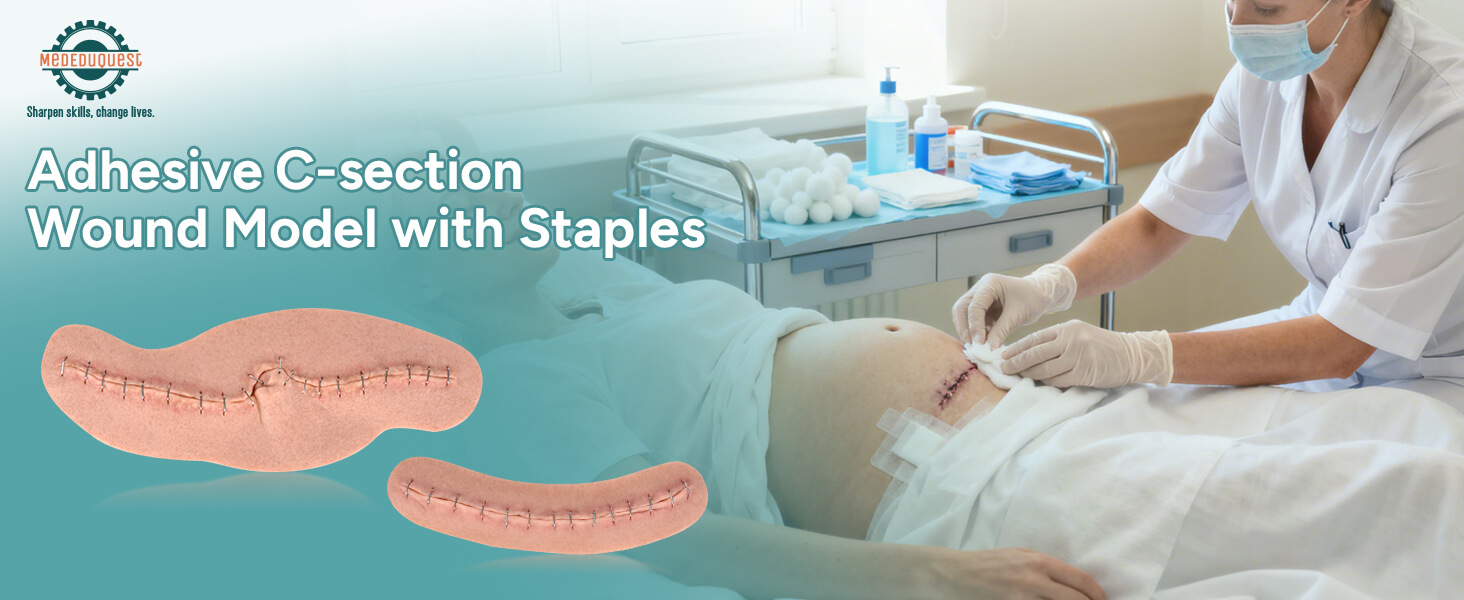  Sheet C-Section Wound Model Set with Staples