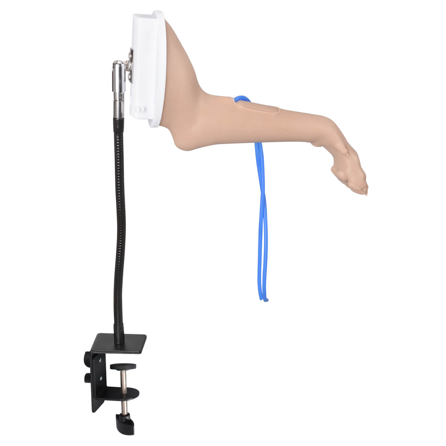Canine Forelimb Bandaging & IV Catheterization Training Kit