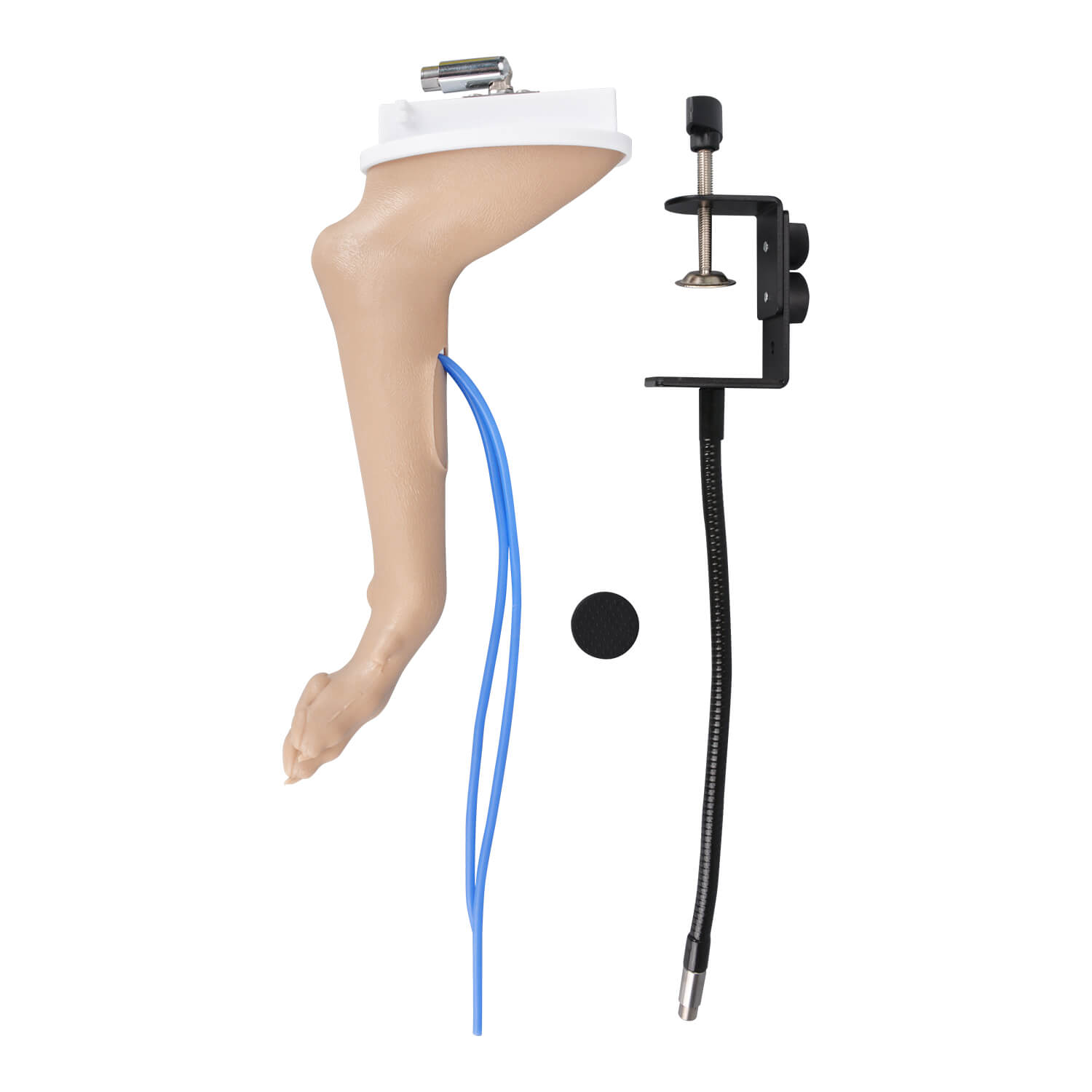 Canine Forelimb Bandaging & IV Catheterization Training Kit