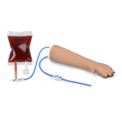 Canine Forelimb IV Injection Training Model