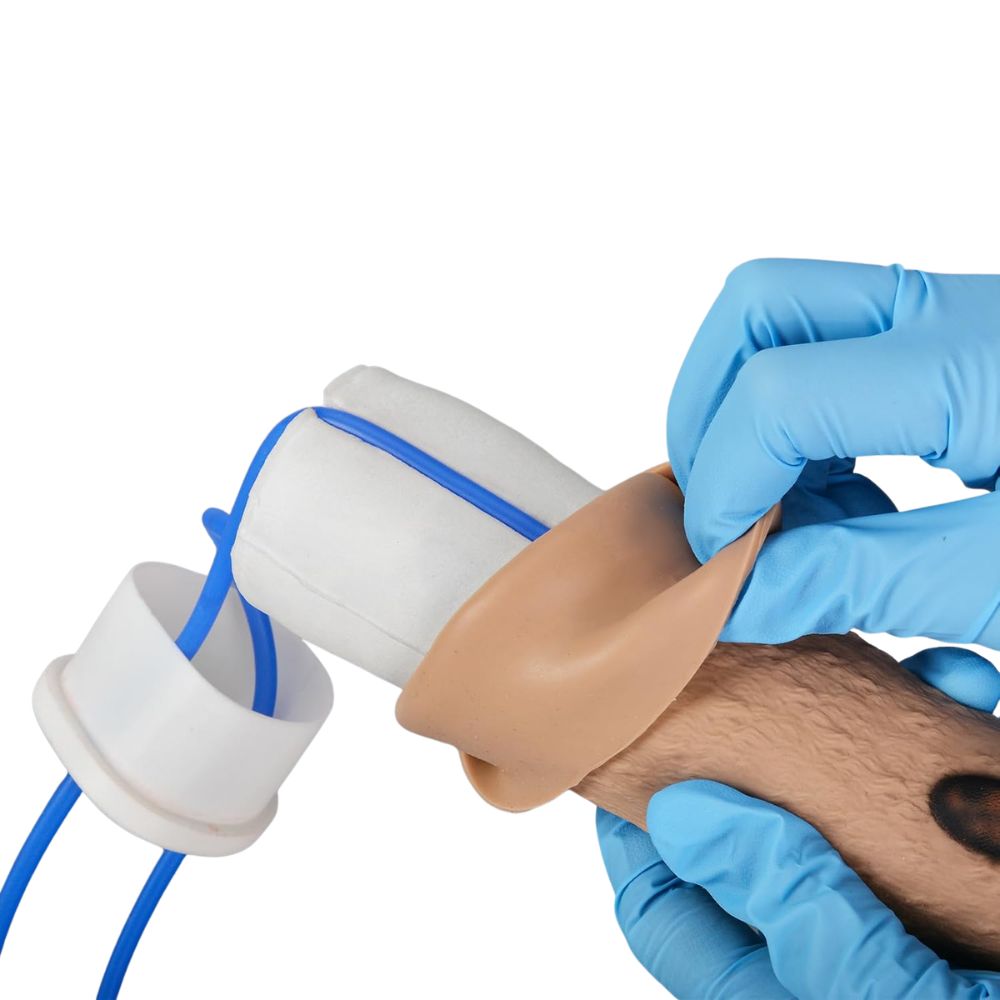 Canine forelimb training model with simulated vein