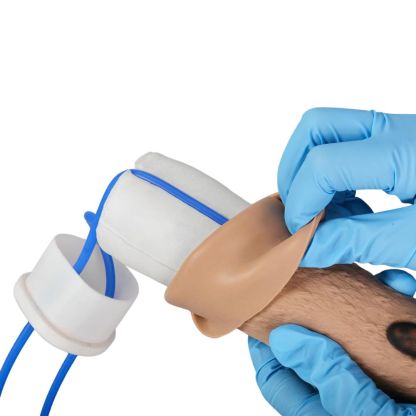 Canine forelimb training model with simulated vein