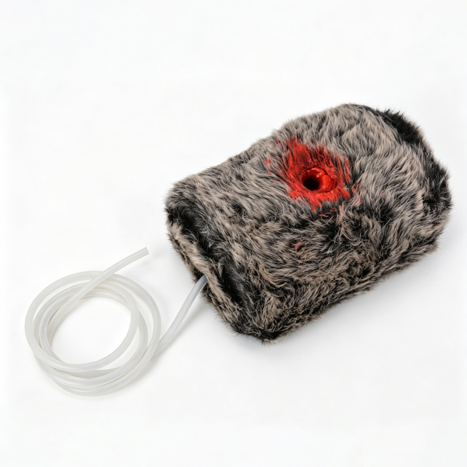 Canine Gunshot Wound Hemorrhage Control Training Model