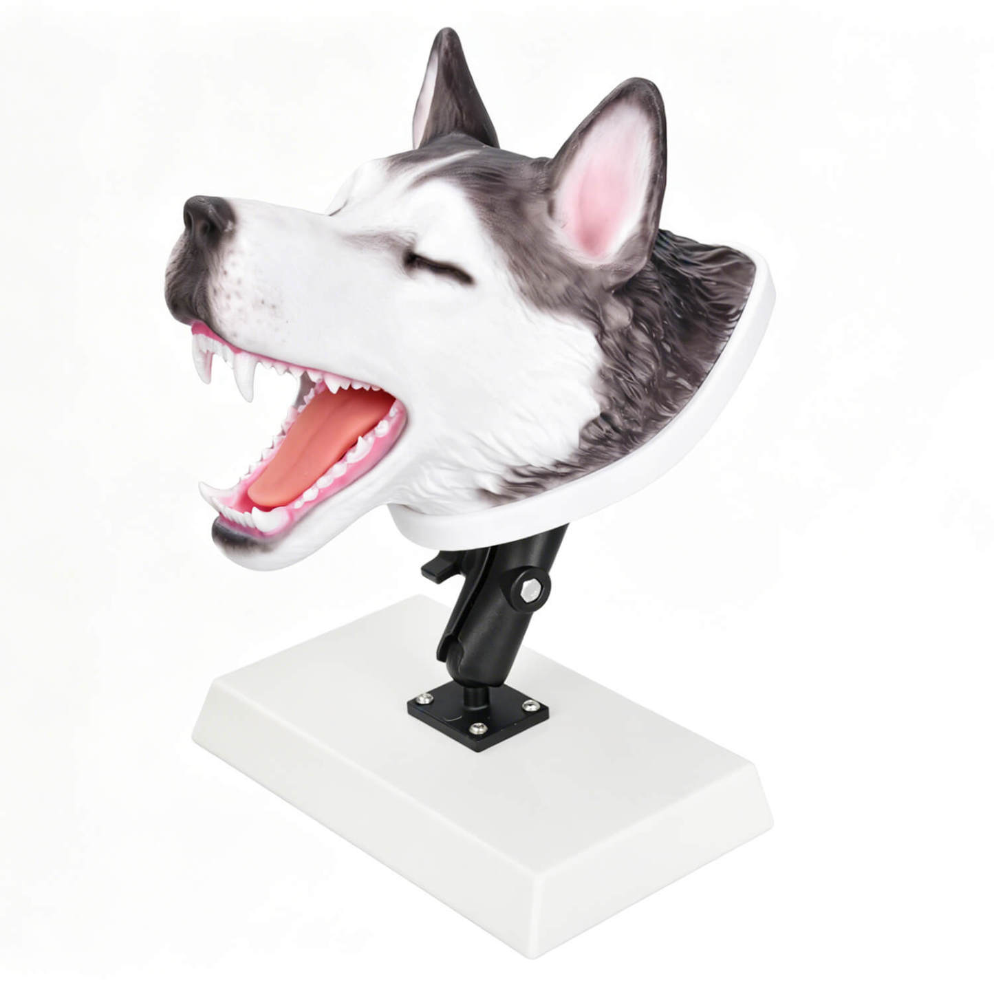 Veterinary canine intubation head trainer with stand