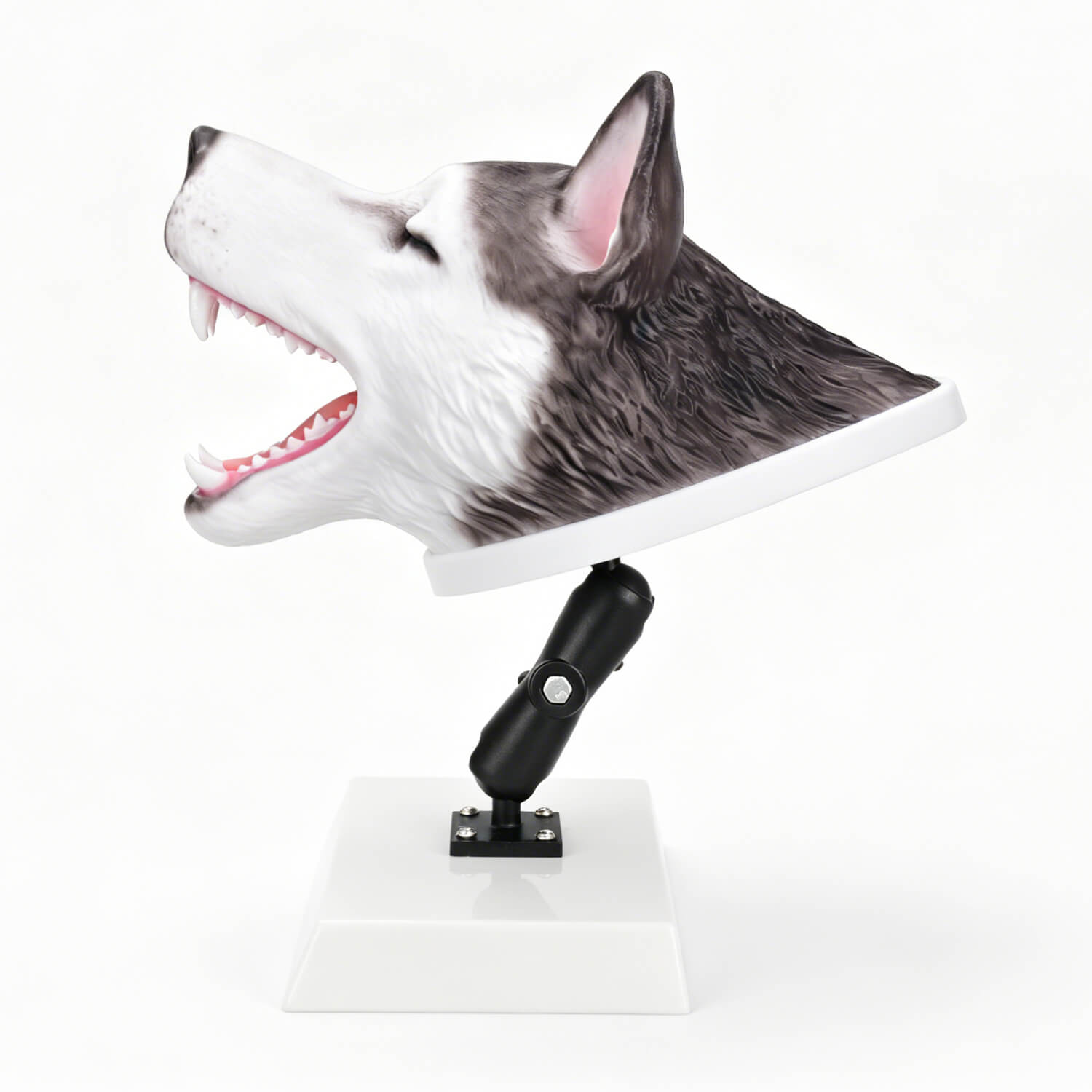 Canine intubation head with adjustable support stand