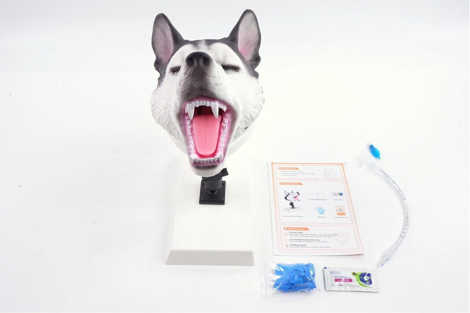 How to Use and Care Canine Intubation Head Trainer