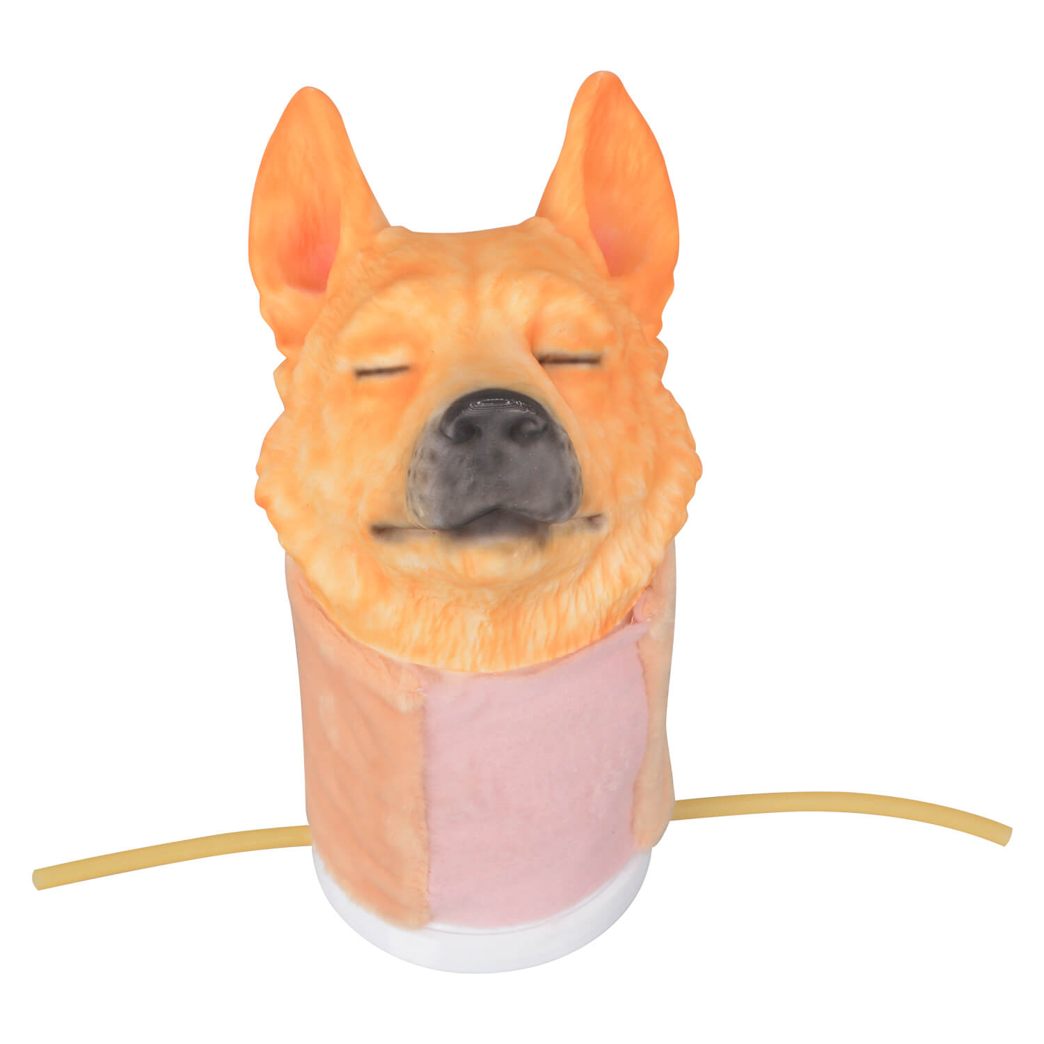 Canine Jugular Venipuncture Head Simulator