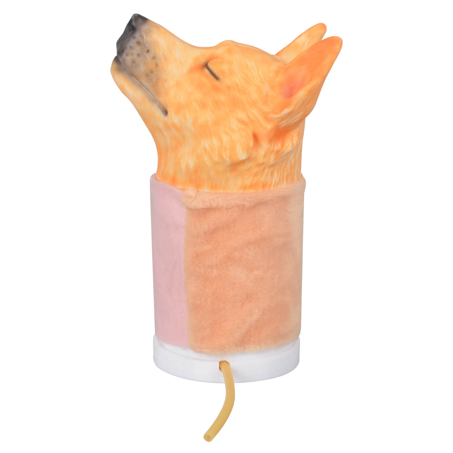 Canine Jugular Venipuncture Head Simulator