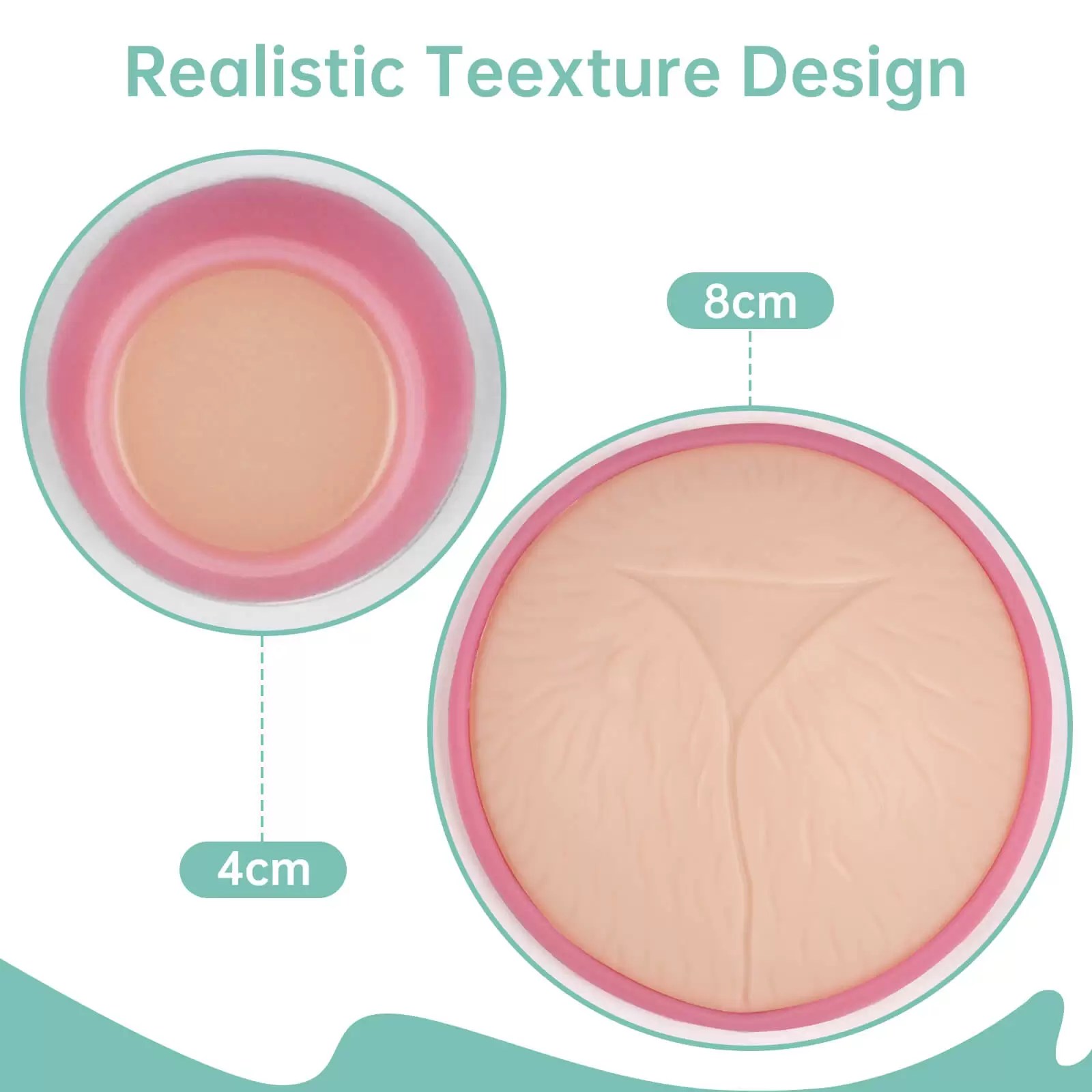 Cervical Dilation Model Set 0-10cm (11 Models) with Scroll Display
