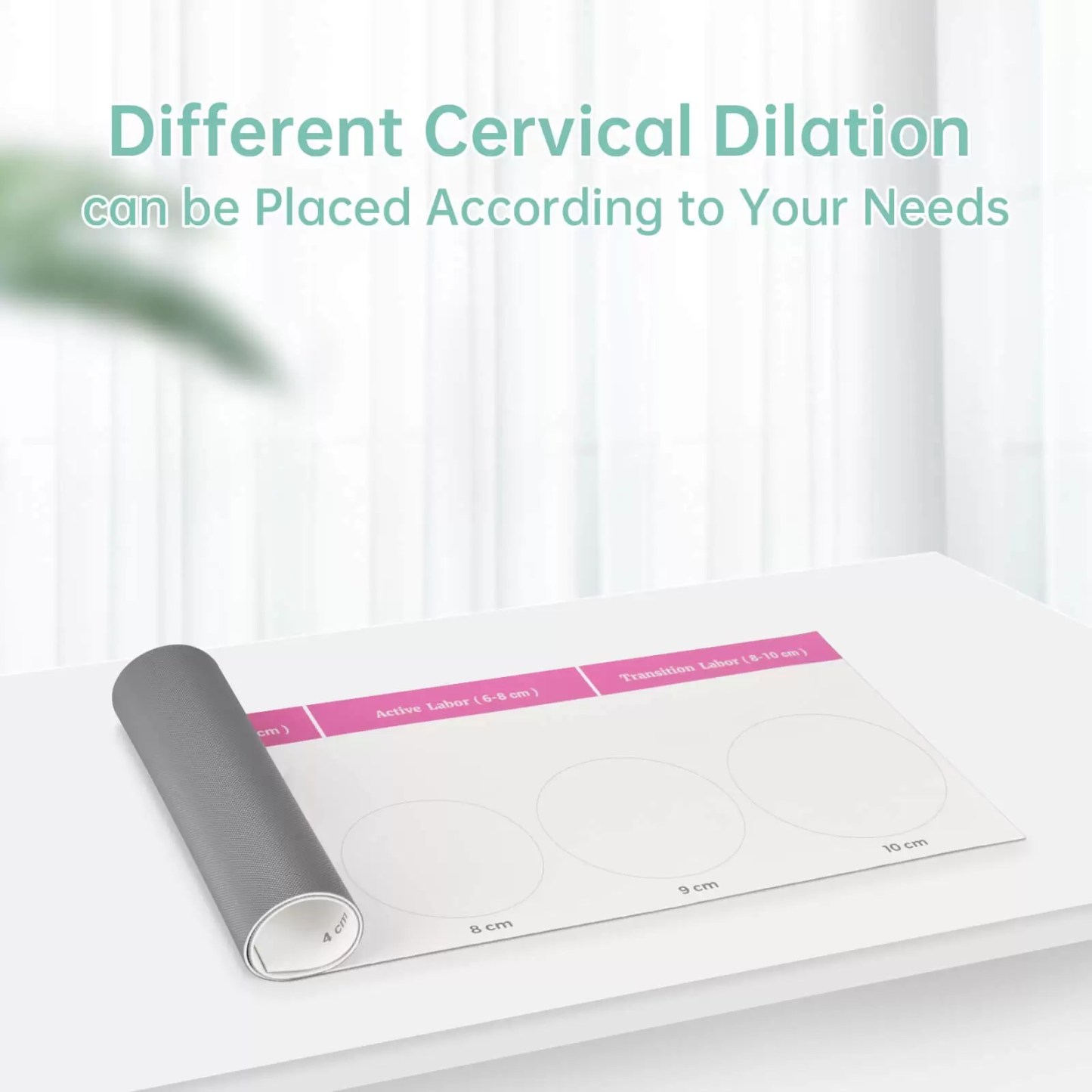 Cervical Dilation Model Set 0-10cm (11 Models) with Scroll Display
