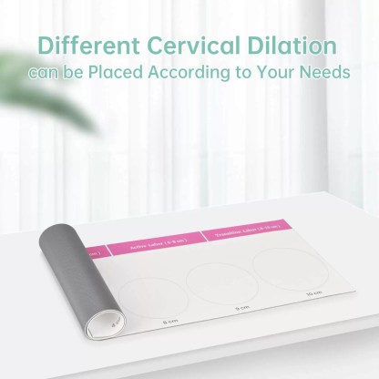 Cervical Dilation Model Set 0-10cm (11 Models) with Scroll Display